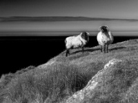 Achill Island, County Mayo